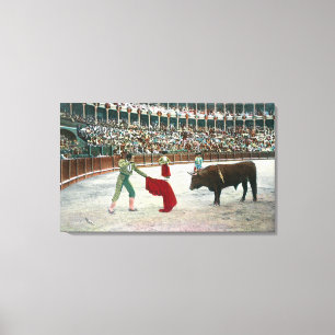 View of a Matador About to Slay the BullSpain Canvas Print