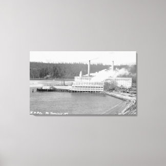 View of a Paper Plant Canvas Print
