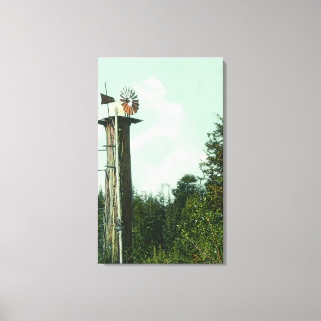 View of a Sequoia Wind MillEureka, CA Canvas Print (Front)