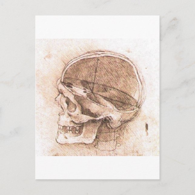 View of a Skull by Leonardo Da Vinci circa 1489 Postcard (Front)