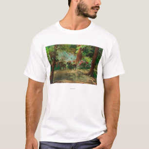 View of a Stage Coach Amongst Big Trees T-Shirt