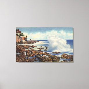 View of a Typical Shoreline Canvas Print