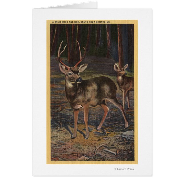 View of a Wild Buck & Doe (Front)