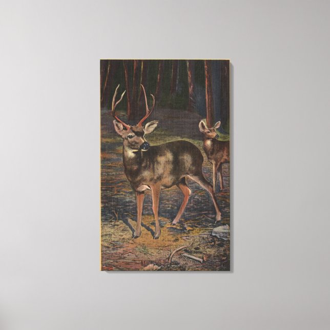 View of a Wild Buck & Doe Canvas Print (Front)