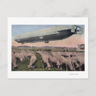 View of a Zeppelin Blimp over Grazing Sheep Postcard