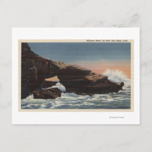 View of Alligator Head, La Jolla Postcard