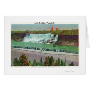 View of American Falls & Coast
