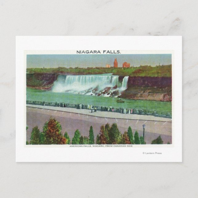 View of American Falls & Coast Postcard (Front)