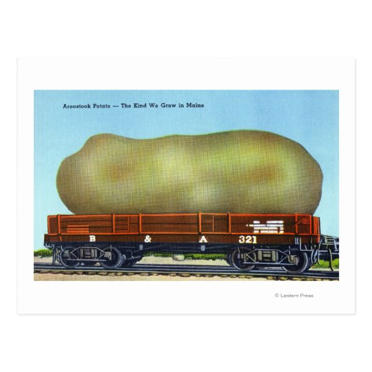 View of an Aroostook Potato on a Train Trolley Postcard