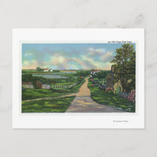 View of an Old Cape Cod Lane Postcard