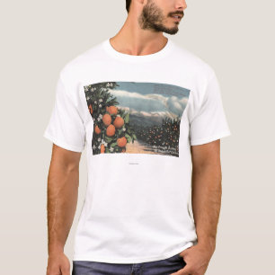 View of an Orange Orchard with Mountains T-Shirt