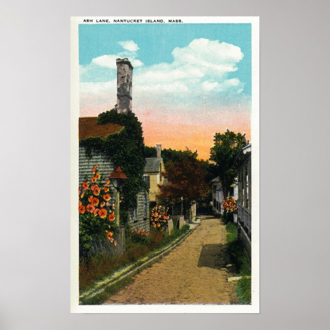 View of Ash Lane Poster (Front)