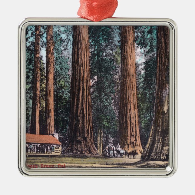 View of Big Trees in Mariposa Grove Metal Ornament (Front)