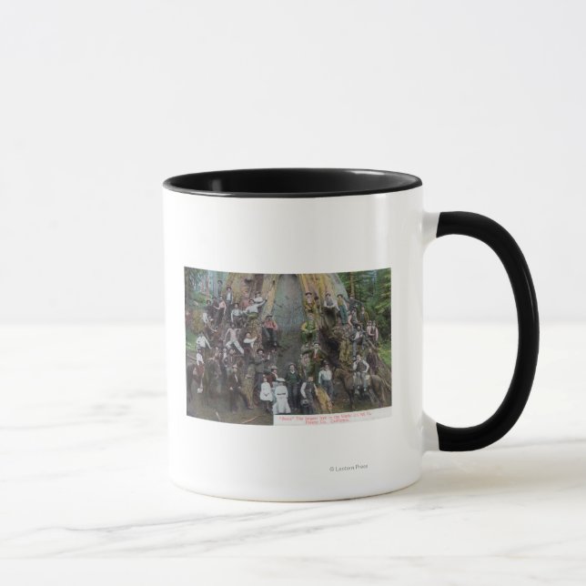 View of Boole, the Largest Tree in the World Mug (Right)