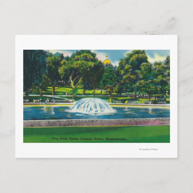 View of Boston Common Frog Pond Postcard (Front)