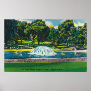 View of Boston Common Frog Pond Poster