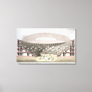 View of Caesar's Amphitheatre (colour litho) Canvas Print