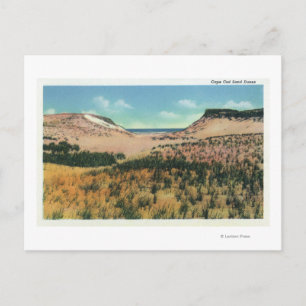 View of Cape Cod Sand Dunes 2 Postcard