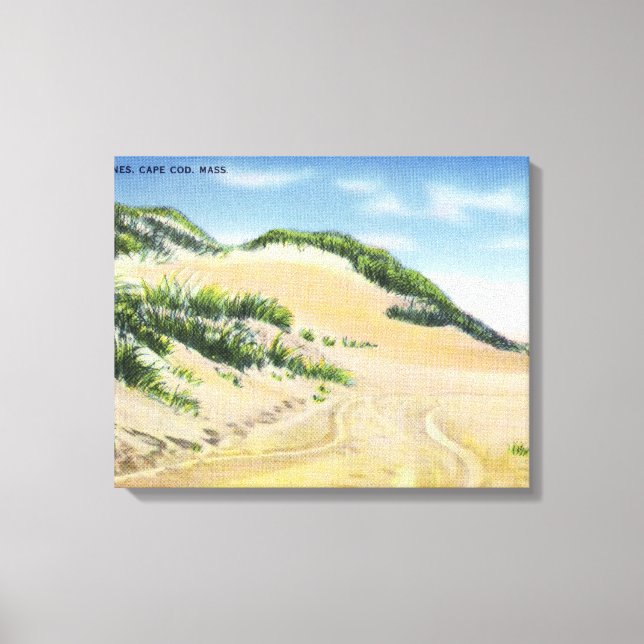 View of Cape Cod Sand Dunes Canvas Print (Front)