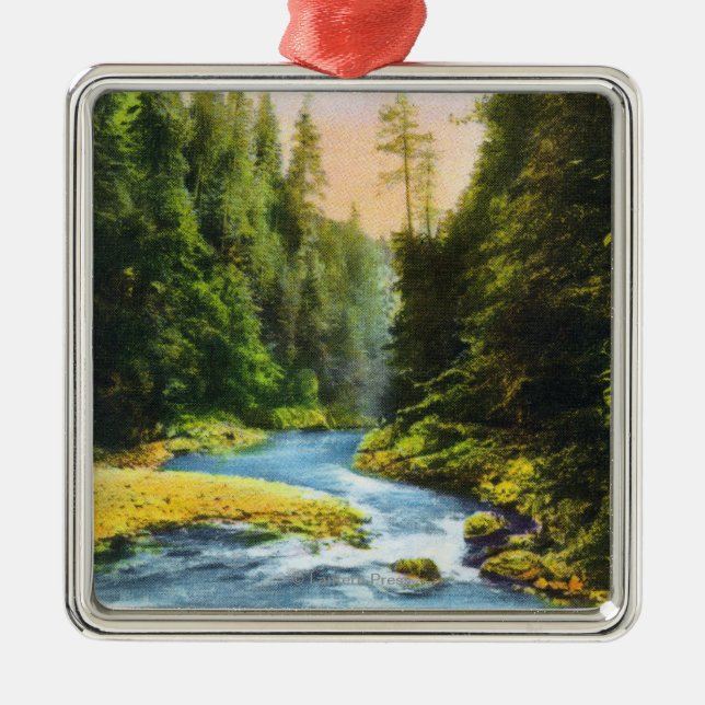 View of Capilano Suspension Bridge # 2 Metal Ornament (Front)