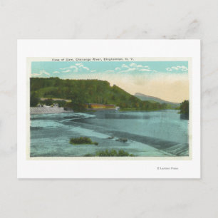 View of Chenango River and Dam Postcard