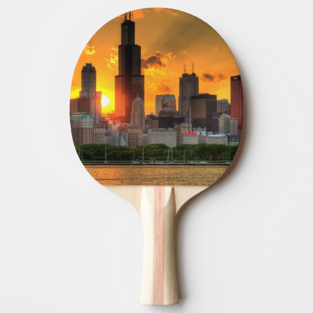 View of Chicago's skyline from  Adler Ping Pong Paddle (Front)