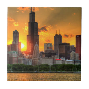 View of Chicago's skyline from  Adler Tile
