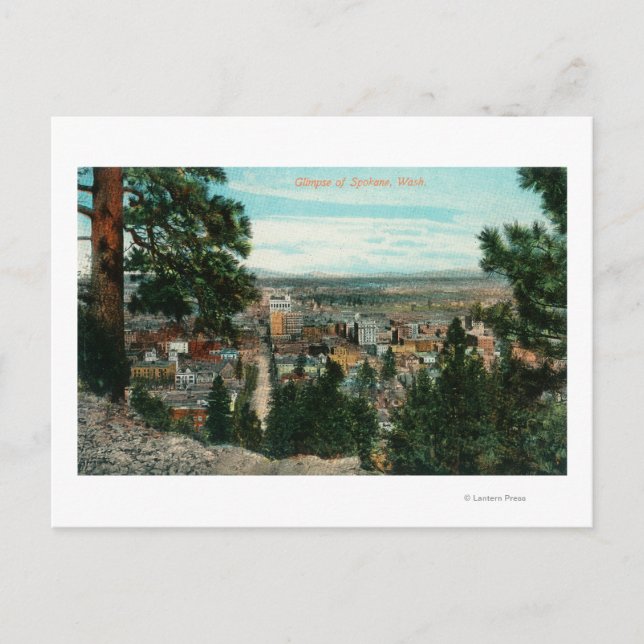 View of City Through the Trees Postcard (Front)