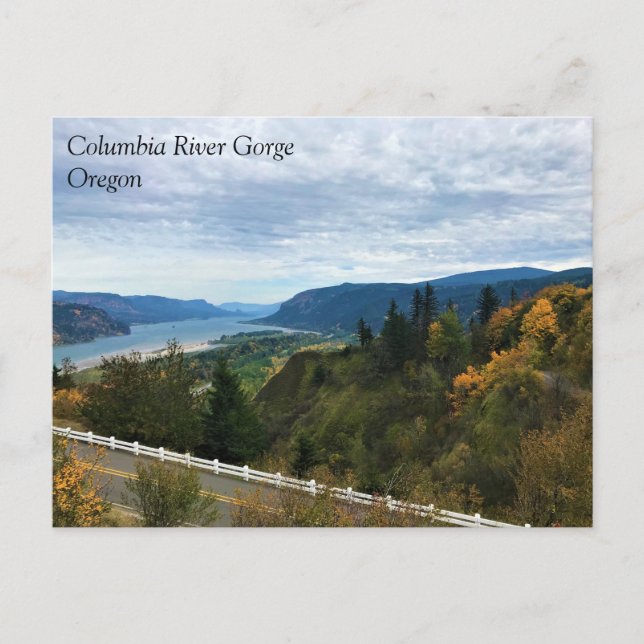 View of Columbia River, Columbia River Gorge, OR P Postcard (Front)