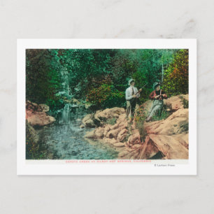 View of Coyote Creek at Gilroy Hot Springs Postcard