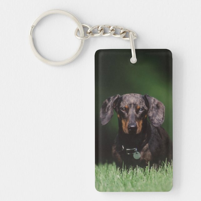 View of Dapple coloured Dachshund Keychain (Front)