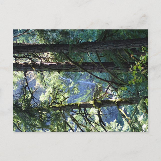 View of Elowah Falls, Oregon Postcard (Front)
