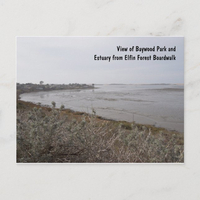 View of Estuary from Elfin Forest, Los Osos CA Postcard (Front)