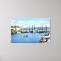 View of Fishing Fleet in the Harbour