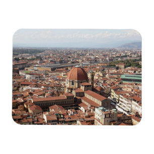 View of Florence, Italy from the top of the Magnet