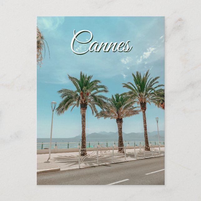 View of French Riviera in Cannes France Postcard (Front)