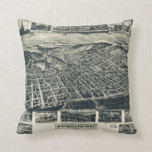 View of Frostburg Maryland by T.M. Fowler (1905) Throw Pillow