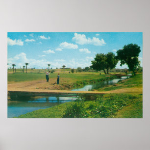 View of Golfer Hitting Ball Poster