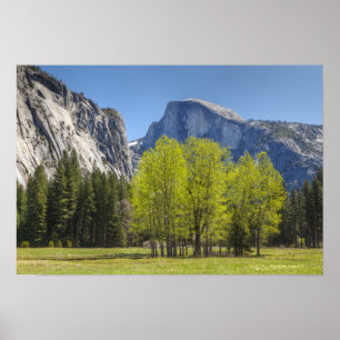 View of Half Dome Poster