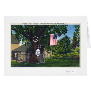 View of Historic Scythe Tree Farm