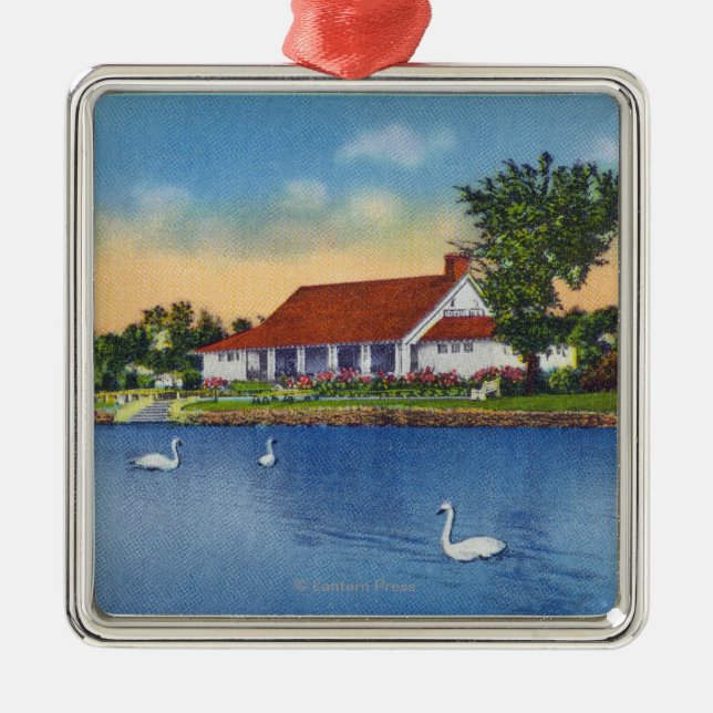 View of Hoopes Park Swans on the Lake Metal Ornament (Front)