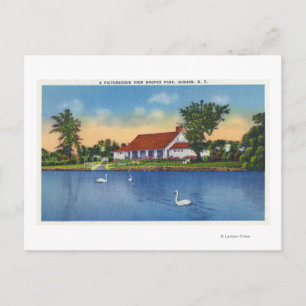 View of Hoopes Park Swans on the Lake Postcard