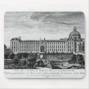 View of Hopital Royal de La Salpetriere Mouse Pad