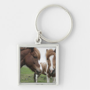 View of Horse, close-up Keychain