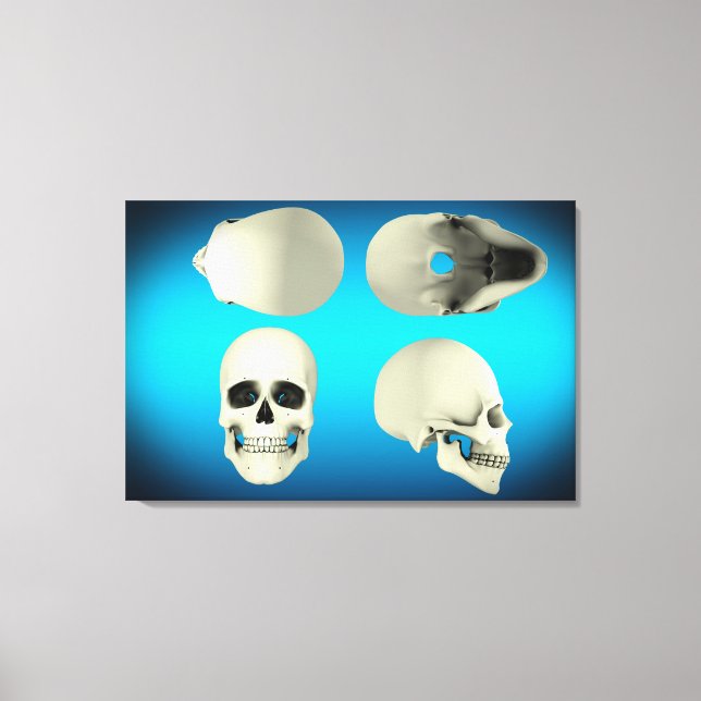 View Of Human Skull From Different Angles Canvas Print (Front)