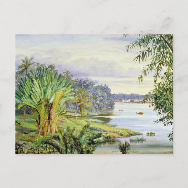 View of Kuchine and River, Sarawak, Borneo Postcard (Front)