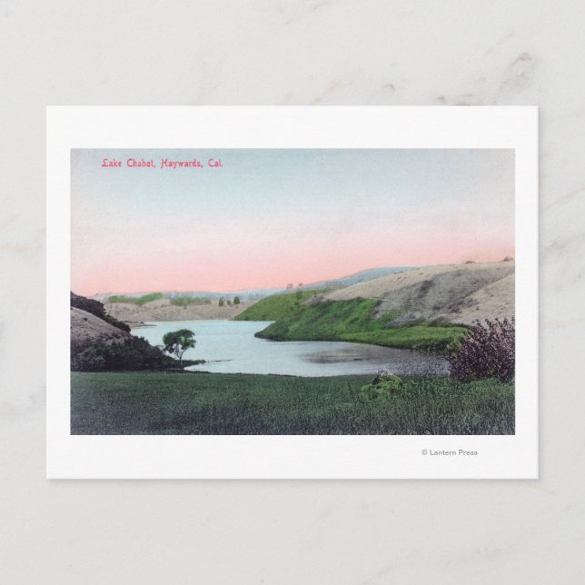 View of Lake ChabotHayward, CA Postcard (Front)