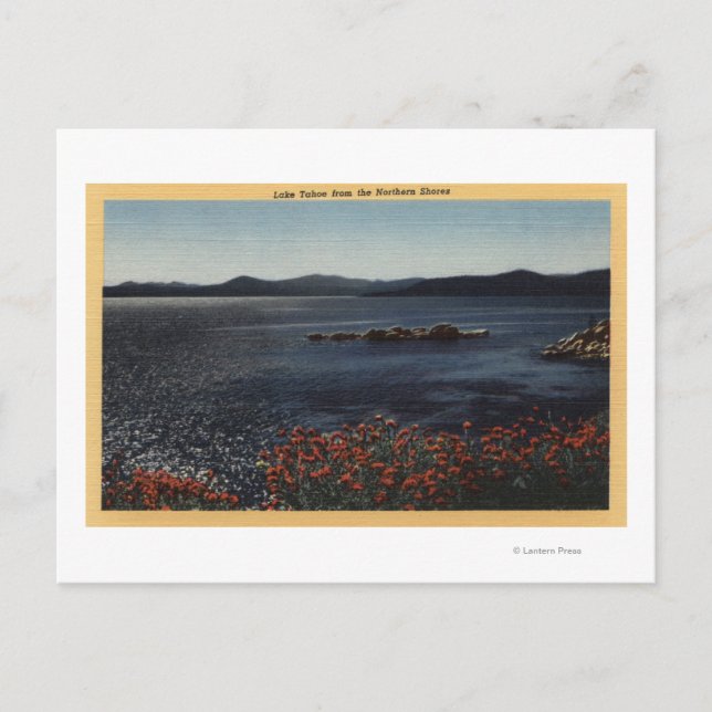 View of Lake from the Northern Shores Postcard (Front)