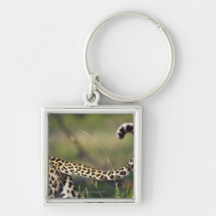 View of Leopards tail (Panthera pardus), Keychain