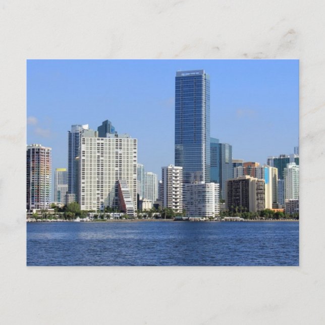 View of Miami Skyline Postcard (Front)